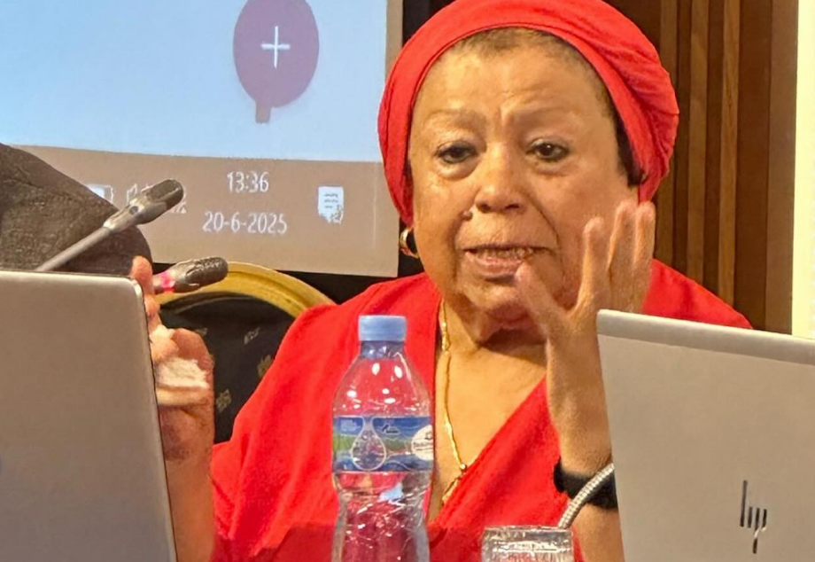 سيدة العقربي في المفوضية العليا للكفاءات الإفريقية بفرنسا